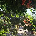 Appart hôtel Hani 3*