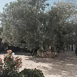Hani Appart hôtel 3*