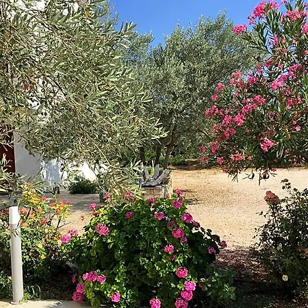 Aparthotel Hani 3*