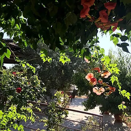 Hani Aparthotel