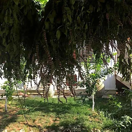Hani Aparthotel