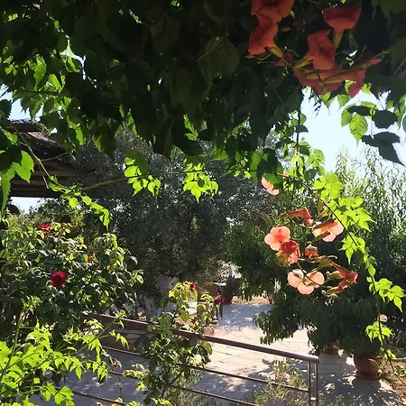 Aparthotel Hani 3*