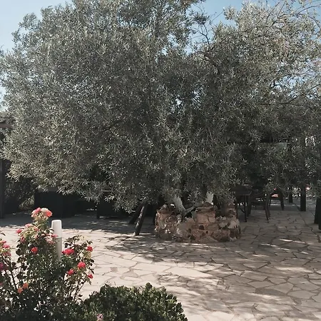 Hani Aparthotel 3*