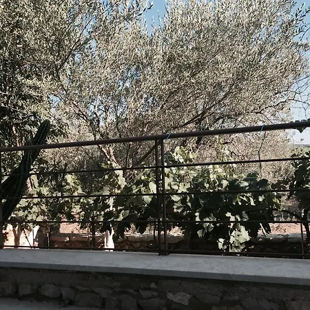 Lägenhetshotell Hani 3*