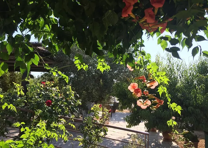 Lägenhetshotell Hani 3*