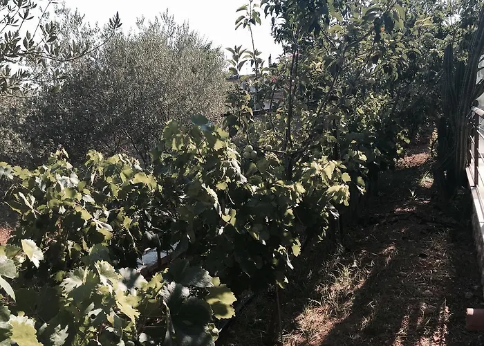 Aparthotel Hani Ligourio